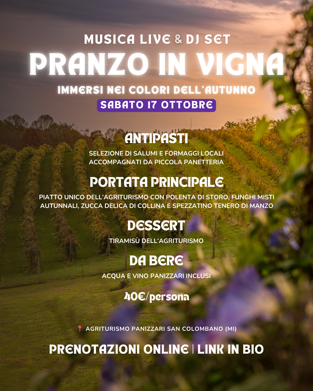 vignaa